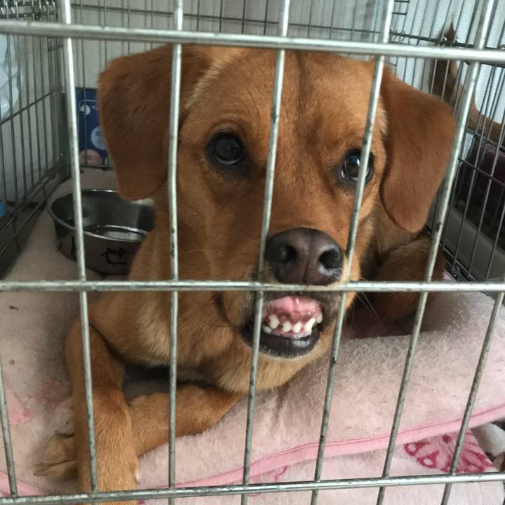 Bcb83864 8f5e 4a25 9b57 fd6636d4973d 1526475406778