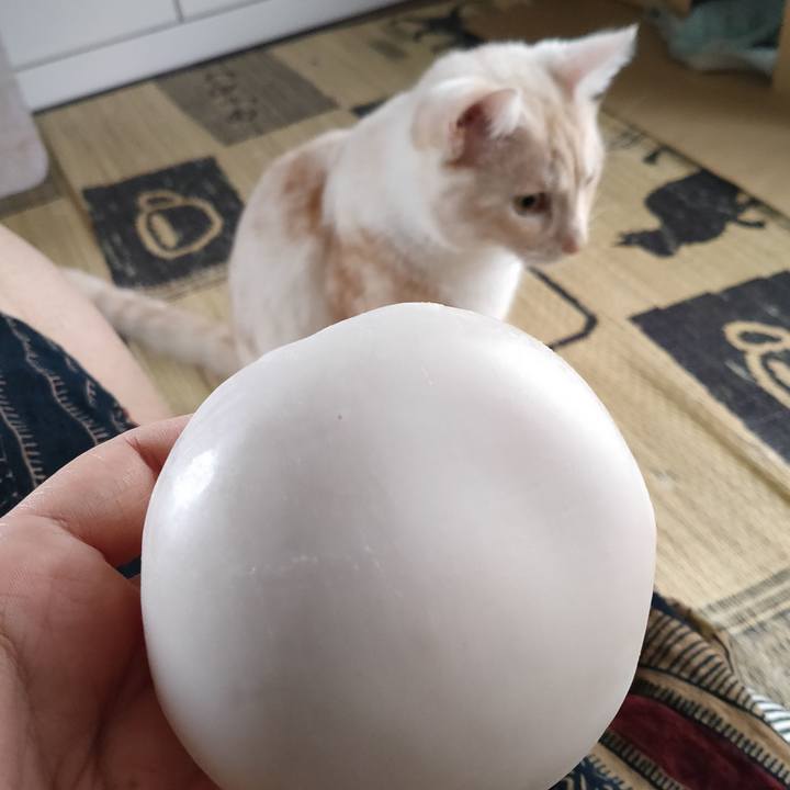 Bcb8448a 69ab 45f3 a5c6 0077c300fa71 1661934835646