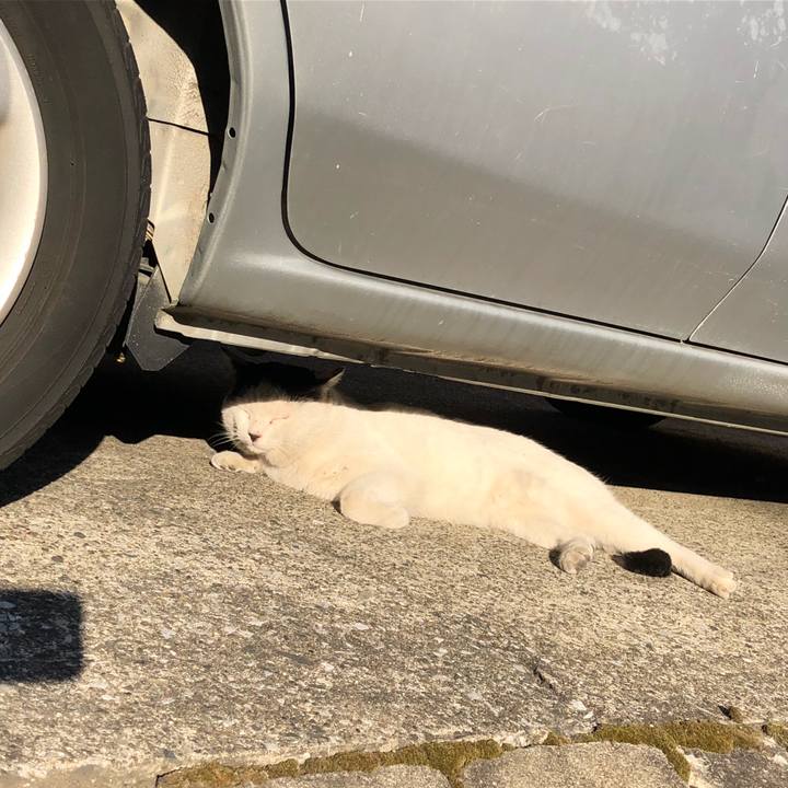 Bcb883d4 380c 4a53 a15f afde4285b6e1 1548119095724