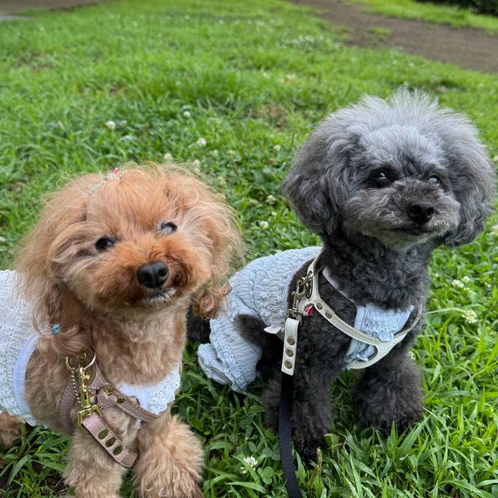 Bcb8bf65 b07e 49ae ab54 3b3dc9133f22 1750979957098