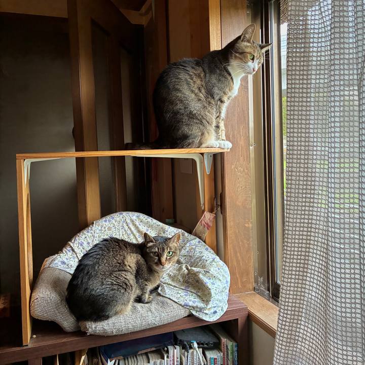 Bcb8ce84 59b4 4adb 98df 1c0fedee42ac 1747526277568