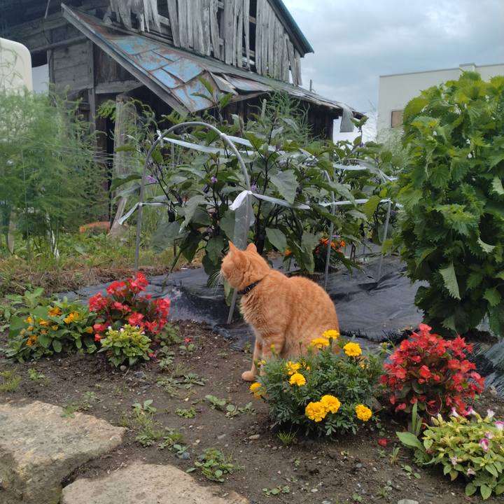 Bcb8d9af c2ea 4cfe b3d6 9708b6a0076b 1689152529680