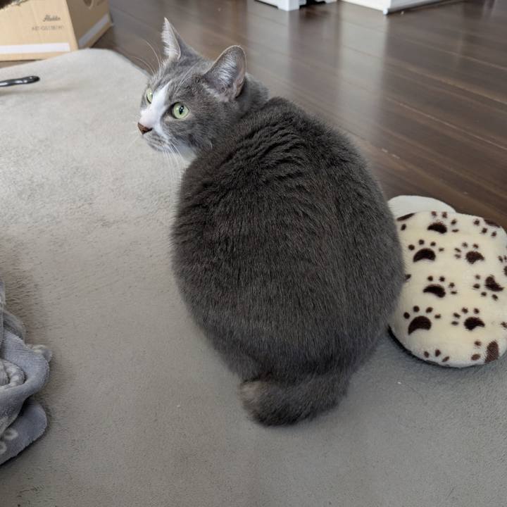 Bcb8dcaf d453 4f9d 9bc2 1202476765bd 1767922924589