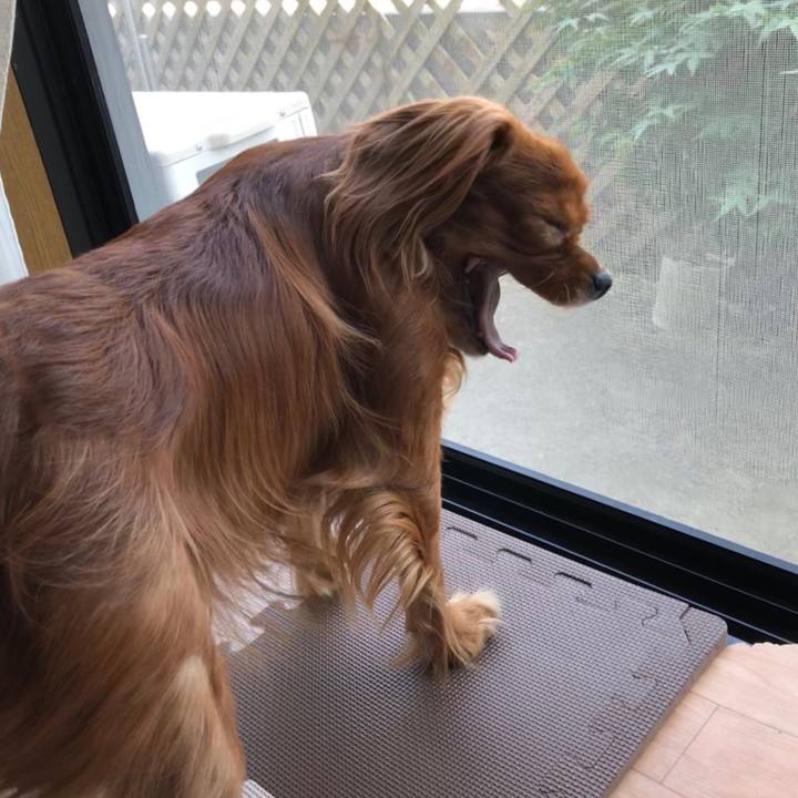 Bcb8e970 e925 4efa b00c 18374d80cd76 1558765378410