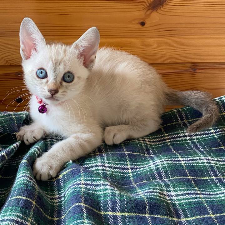 Bcb9413b 32c6 41de a577 47db9e3b281d 1746000169638