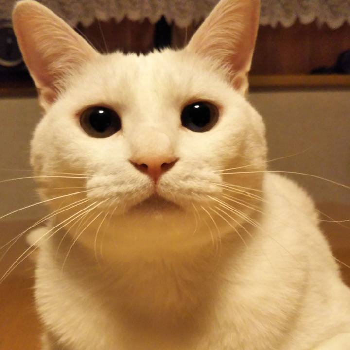 Bcb95c6f 51ab 48d9 8f59 93f3f42c214c 1531491655385