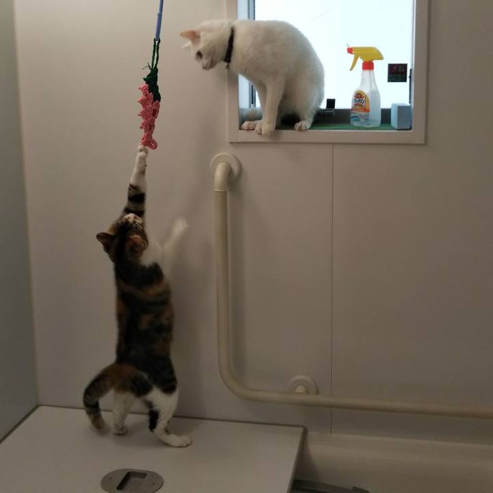 Bcb96e65 bc49 40e0 b160 747326c90093 1647569774847