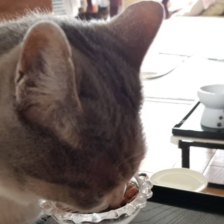 Bcb98085 c49f 40bc b00d ee12a7a6edb5 1690263995212