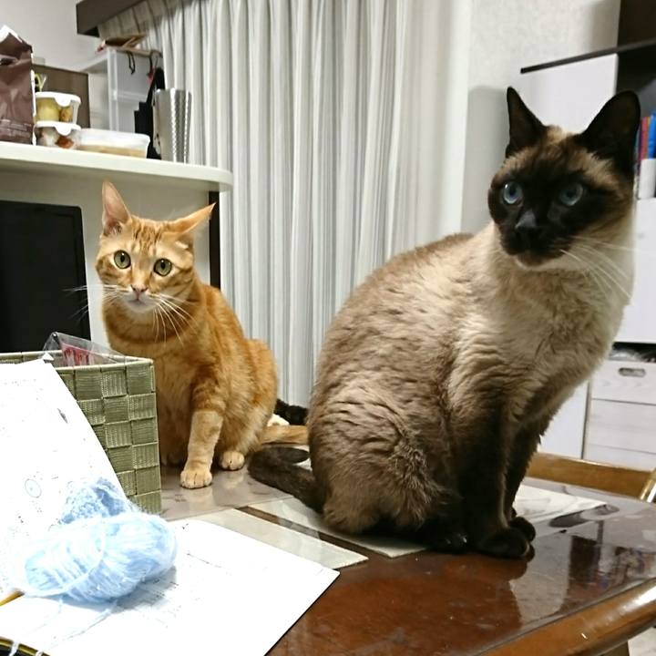 Bcb985ef d6a5 4a56 ac1b db78f3f184a4 1549451740526