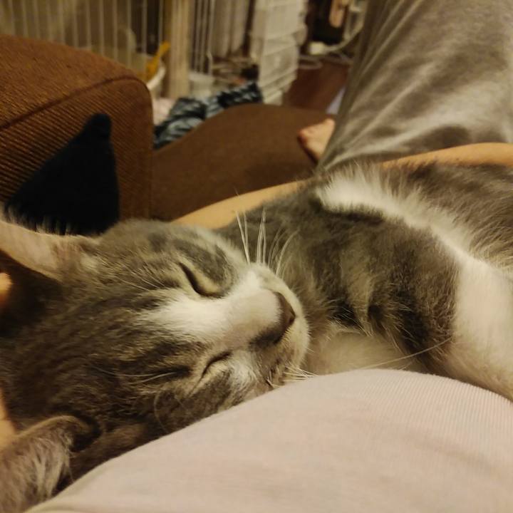 Bcb9bc9c f6da 4190 a8c2 0e6b009aa568 1567084414200