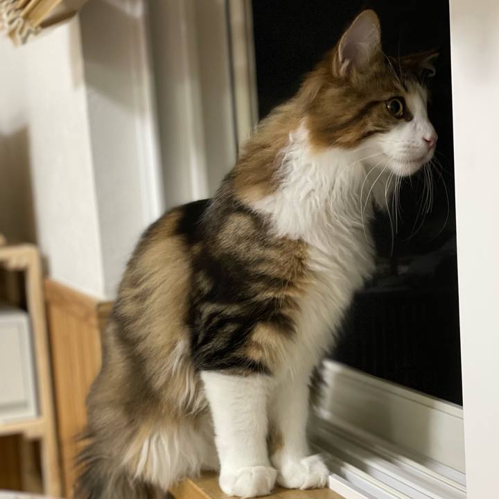 Bcb9c186 73c1 4bde b78e 5f4504237827 1638392426319