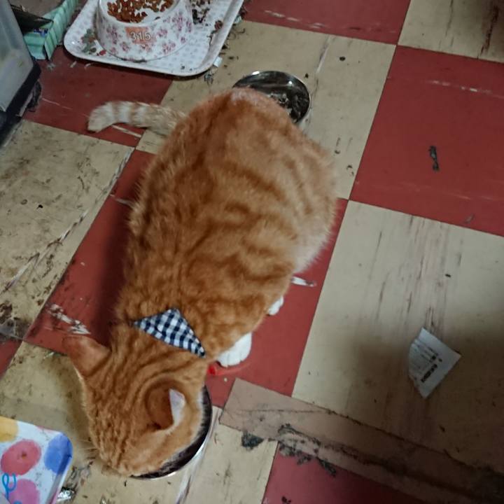 Bcb9d783 cd0a 4e62 b407 93fd87999ef5 1569207376575