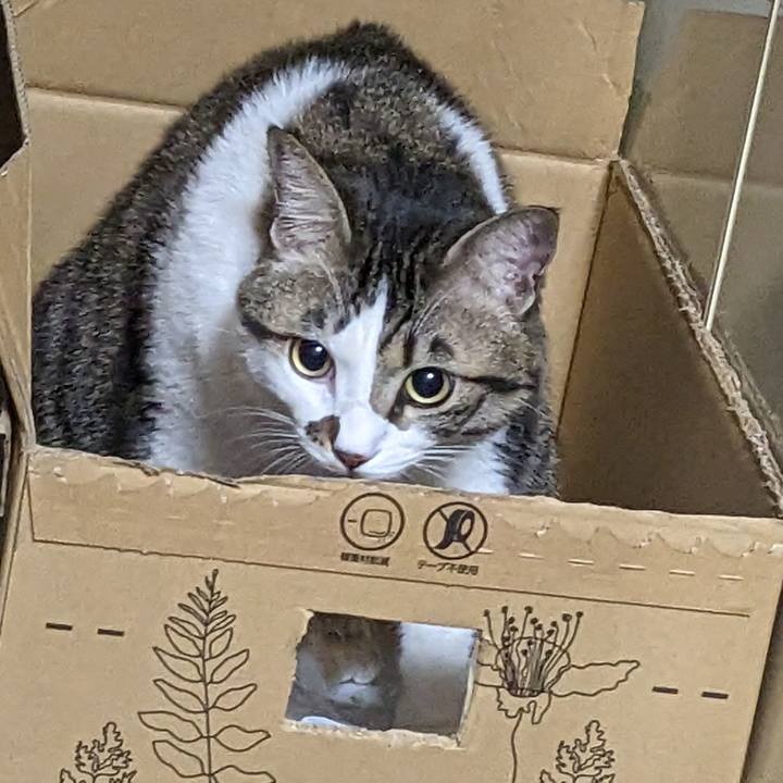 Bcb9d7c3 995c 4cae 8948 ab33b3e8f679 1673010503288