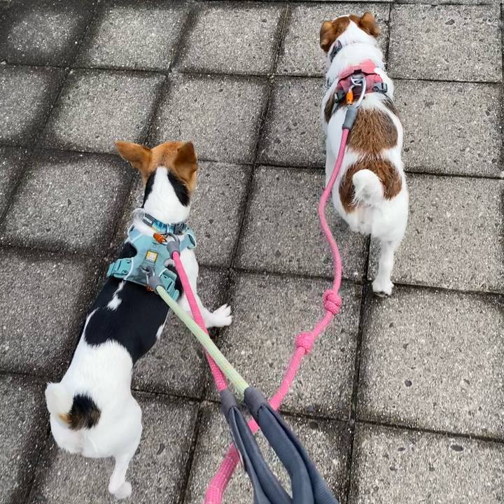 Bcb9fc03 4fce 4e6f a83c 0f94ee966cec 1770798890387