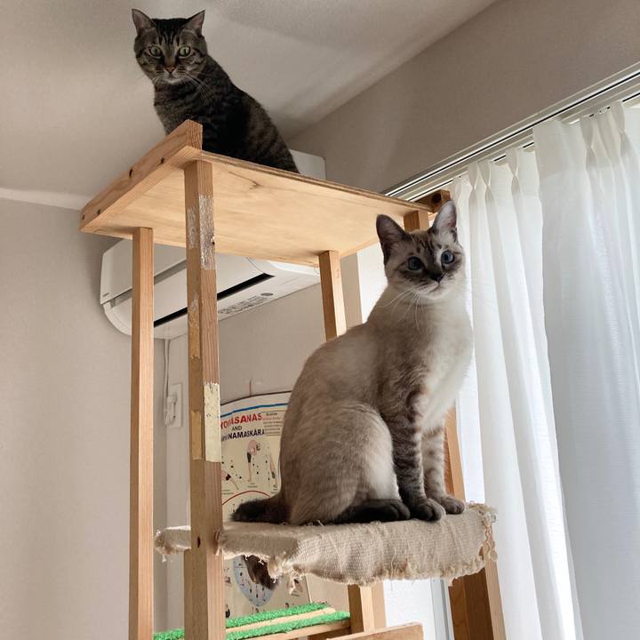 Bcba333f 884f 4ce4 9d7d e46ef1ef1e7b 1600220840835