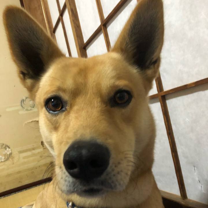 Bcba3ab6 e866 49e0 bf04 ab56d8bc7780 1549170230658