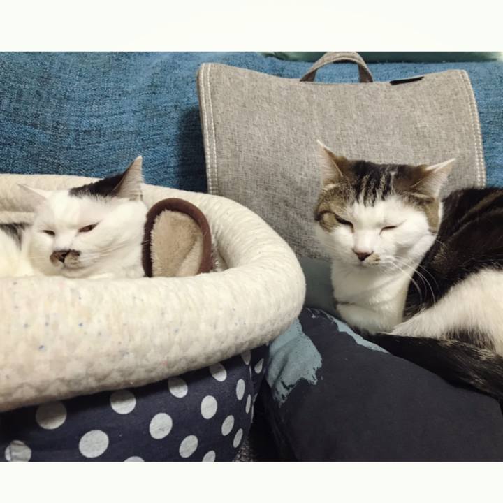 Bcba488d 4364 44fa a5d8 9db6538da80f 1587477420846