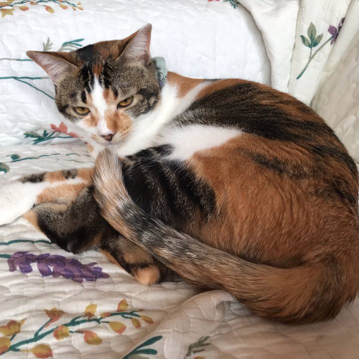 Bcba5873 b85a 4b32 a2b6 7032ae1493a9 1649712243416