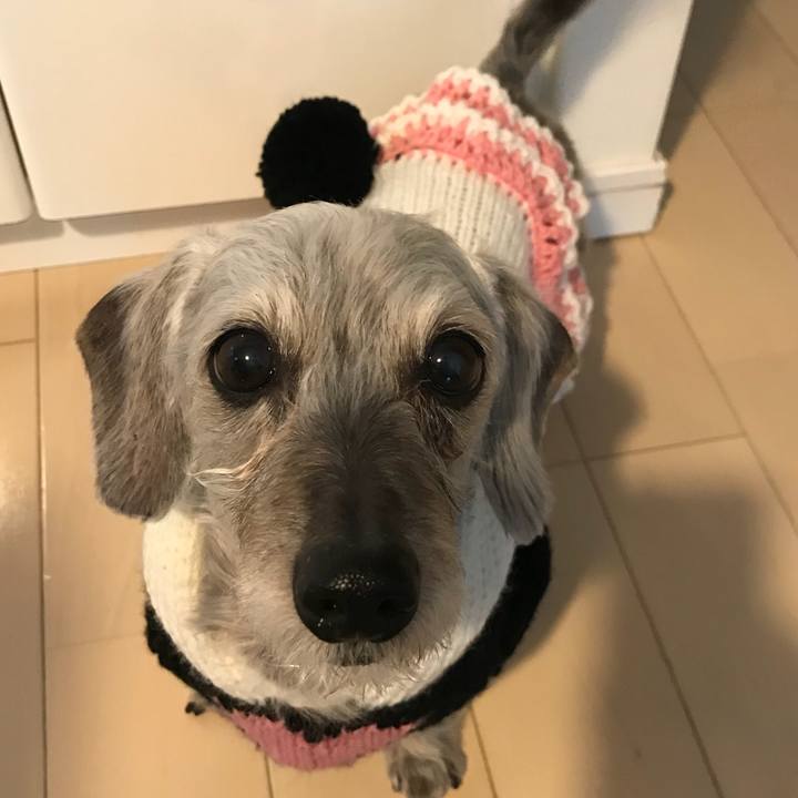 Bcba82b9 adb9 4142 8fbc 07475a7c211d 1512950126506