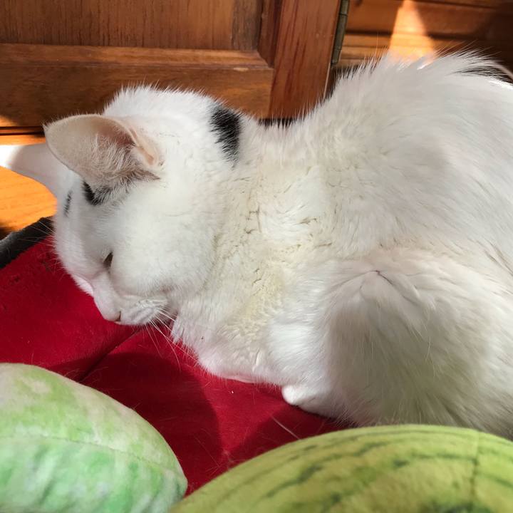 Bcba9024 2f43 4a93 b116 831045bb9ba3 1656628252578