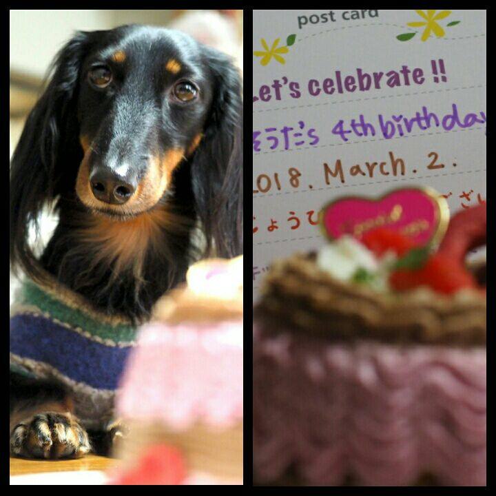 Bcbac0e4 8ec5 4e80 b159 19eab1e08a2c 1519957275137