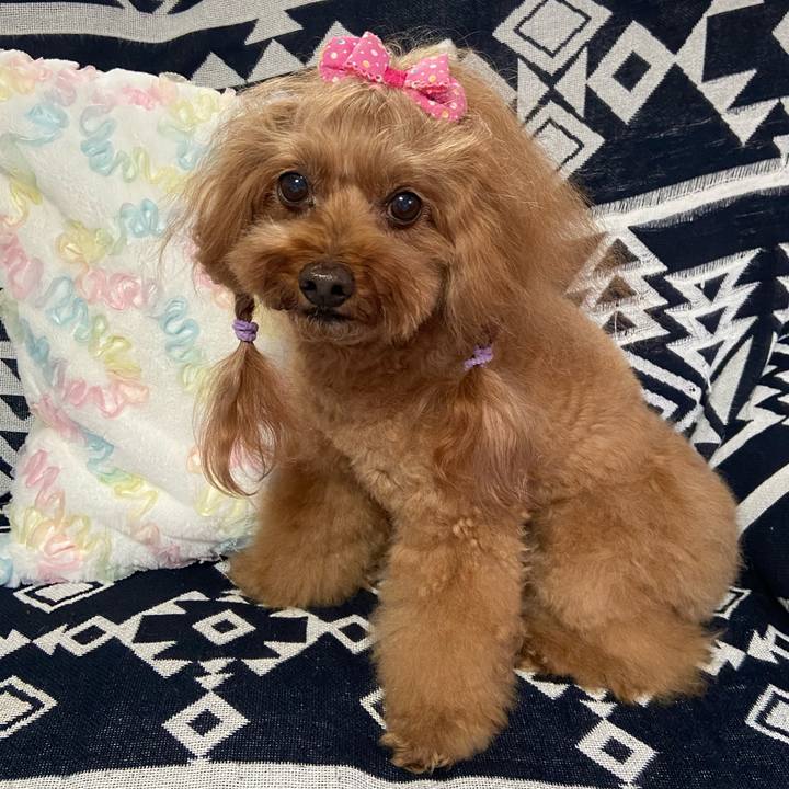 Bcbad7b8 a51c 44fa 8966 09a5960c0cc7 1760654704551