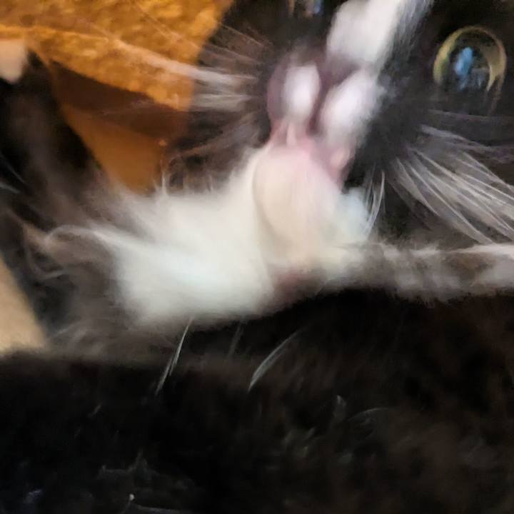 Bcbad99e a1ff 46fe 9391 e955d098bd4c 1683254797339