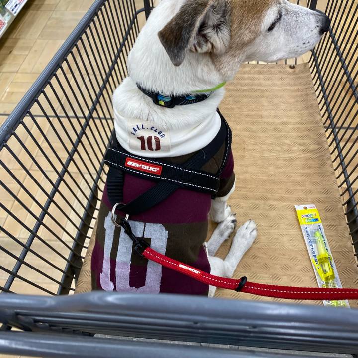 Bcbb024d bf77 47f8 b67d 255001cae4b9 1604752723170