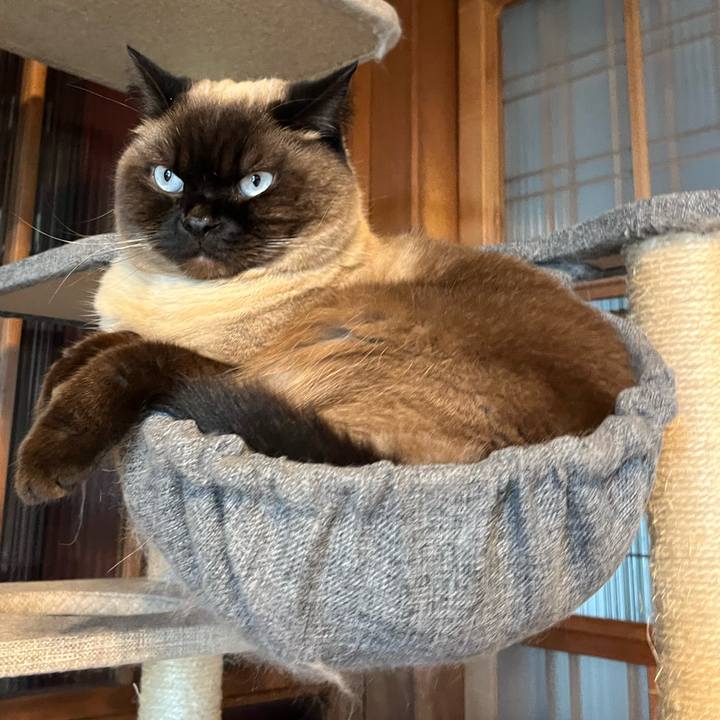 Bcbb096c bf28 4270 9f82 90fa2a8a8886 1682750367490