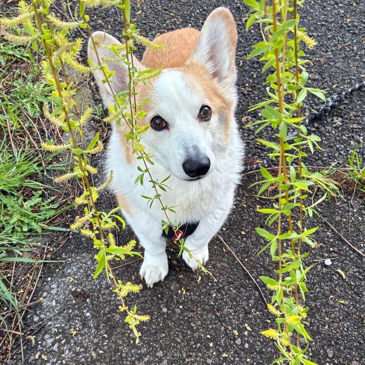 Bcbb4da3 3b40 4088 abb5 192b950bc6dd 1774660654694