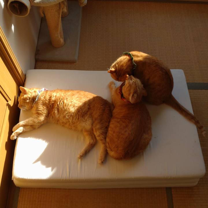 Bcbb6675 e766 4a61 814d ae645e3c8dfb 1641186784293