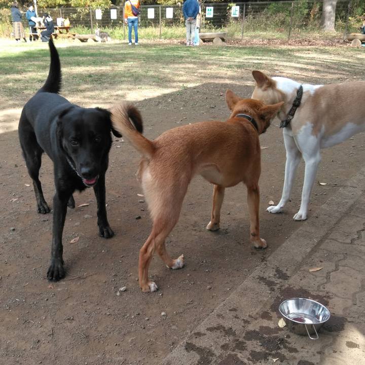 Bcbb6cb0 e228 42f5 964e 07d82fc7dd15 1543121161666