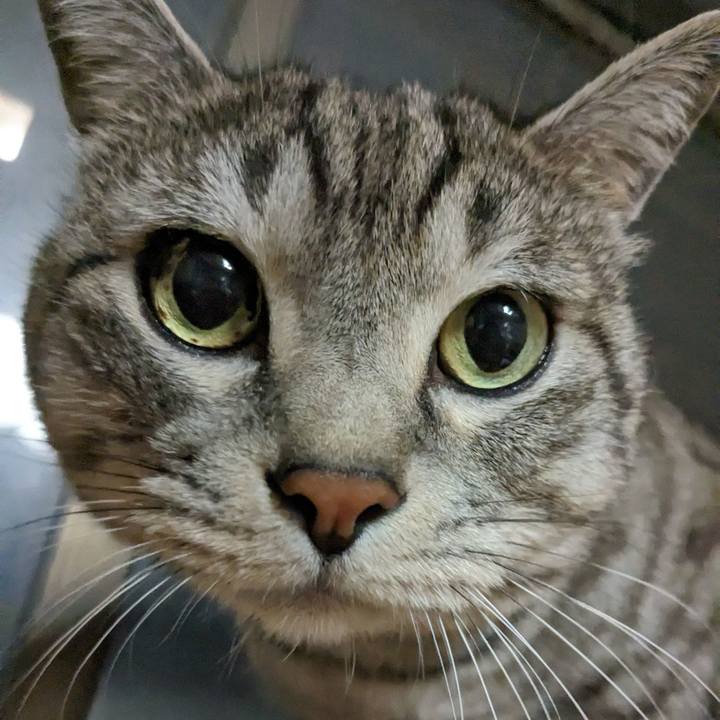 Bcbbb3c1 9b1b 4b5b bfb9 72b448aa6944 1705836939033