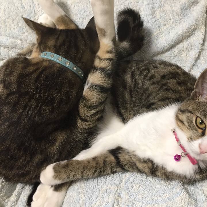 Bcbbbcfc addf 4063 a951 97b26504fbd1 1660264764171