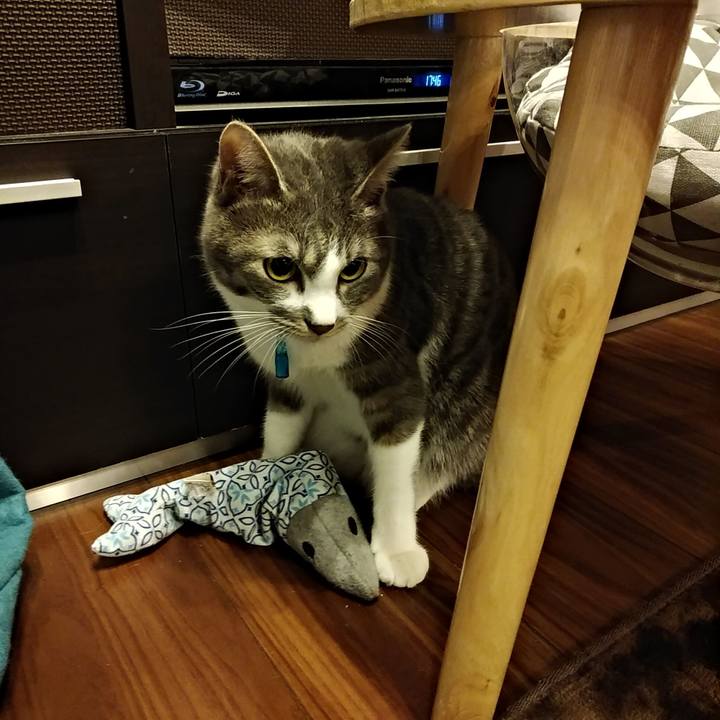 Bcbbc7d3 a33c 4d5b be77 0b2bec227867 1583830190977