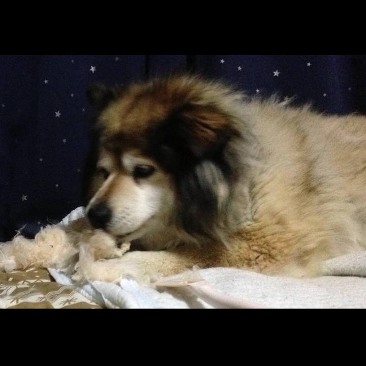 Bcbbd64e 1c8b 4cb2 b3eb faea725e3e92 1592445191047