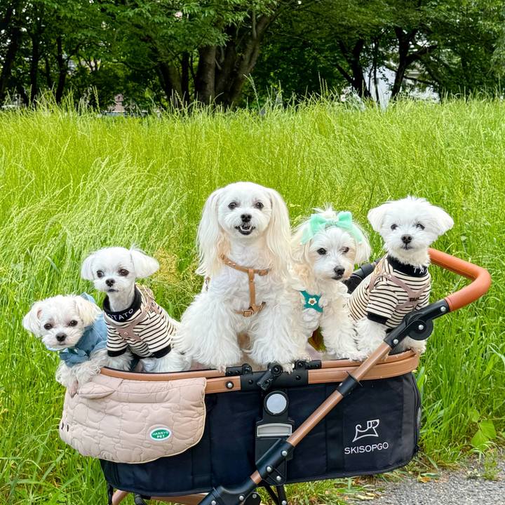 Bcbc657a 4159 42fe bc2b b64dc2b300eb 1716733589204