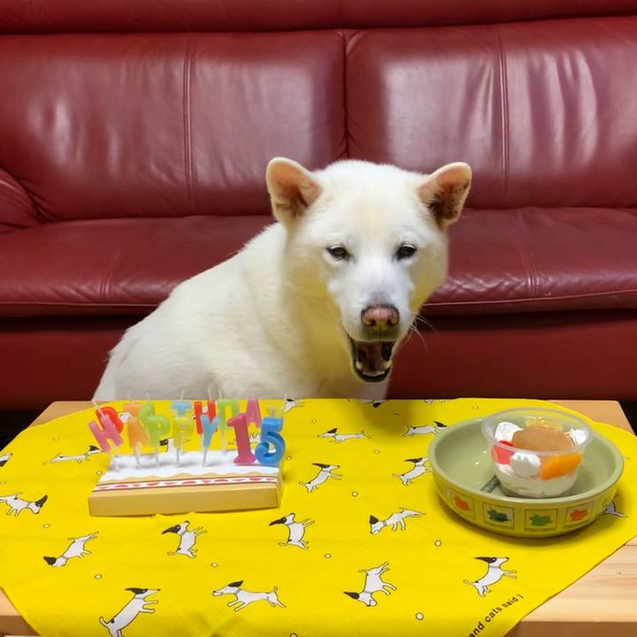 Bcbc67b4 0027 4467 ba88 307976d37adc 1575979992680