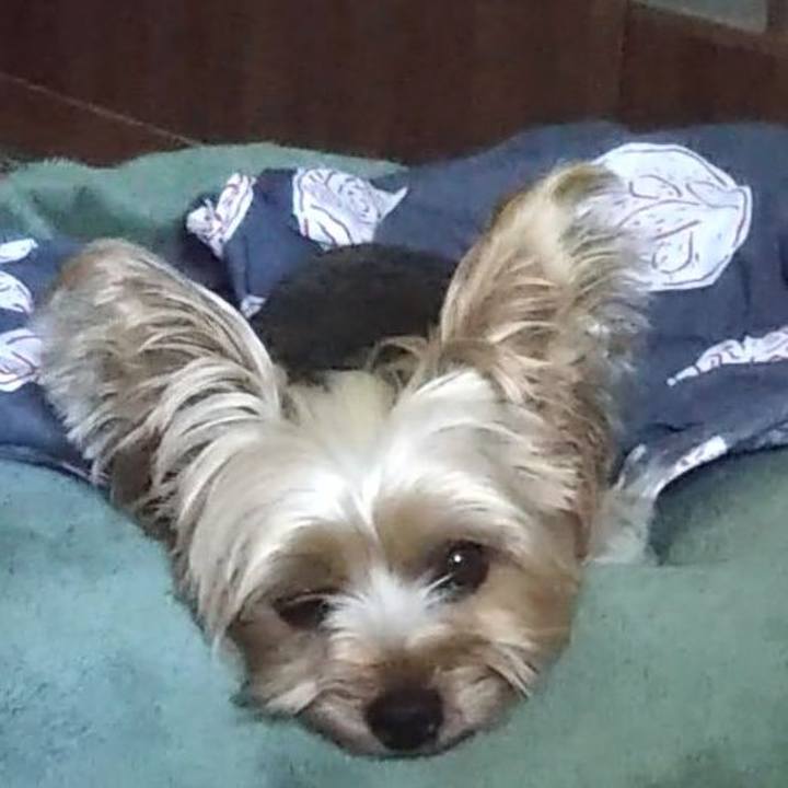 Bcbc6948 a632 46ee b43a cdb520103281 1628079493639