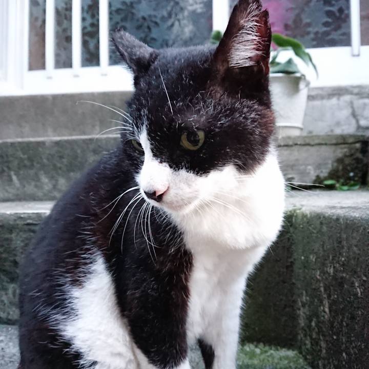 Bcbc7e51 2c7c 4544 a2a0 a710edc505d1 1692871429077