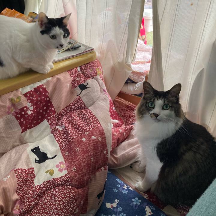 Bcbca5b9 7468 4a2d ae54 962254796cc5 1774855195495