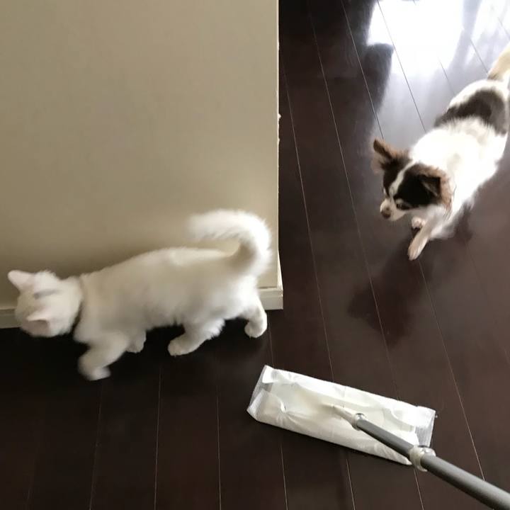 Bcbcd8ef 2653 416b 841c c2f779dc154e 1508467153055