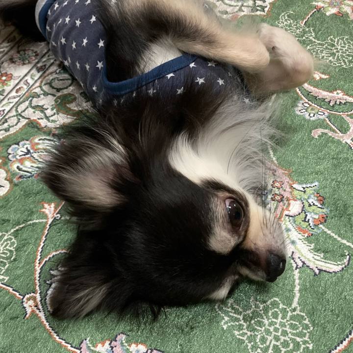 Bcbcfec0 c4f5 4d8d 8f53 6c34cea6f634 1665931024938