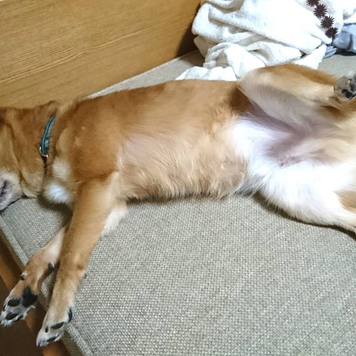 Bcbd1db1 bbce 4e68 b658 e50723482e60 1531581916594