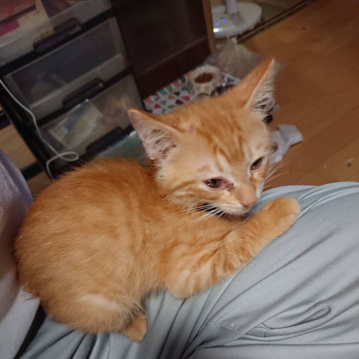 Bcbd38d0 feb9 4ec0 8605 7009c7e40eb1 1629540522008