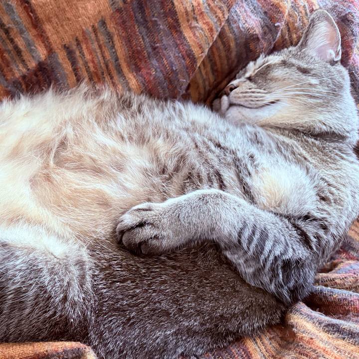 Bcbda691 11bb 45d2 b858 0a704b88e16c 1770896902793