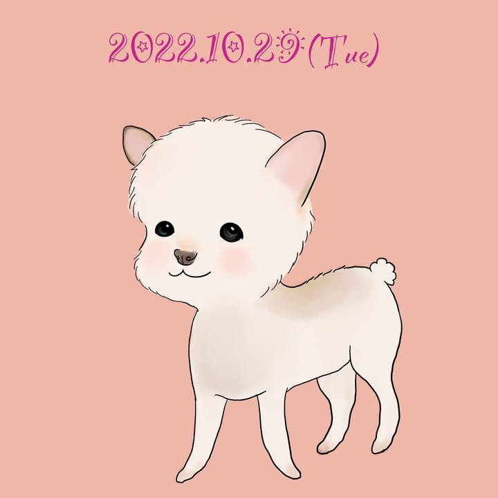 Bcbdeda3 b1c8 484e 8433 83ea1347d72e 1666269827782