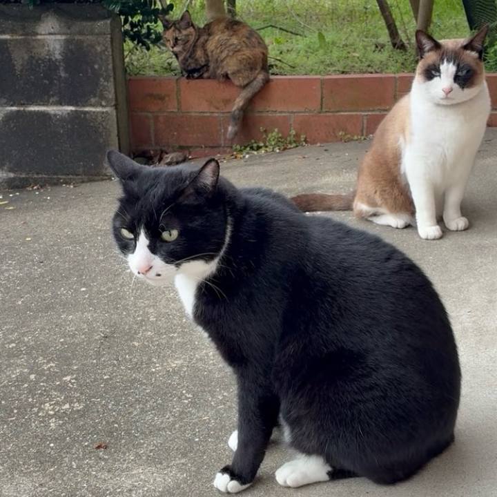 Bcbdfd4f c910 442b a184 5a4accf4e6c1 1774965294502