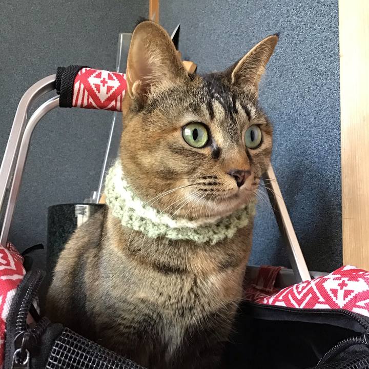 Bcbe336f f7dc 4dc1 9969 3c8c1498b64f 1647064820024