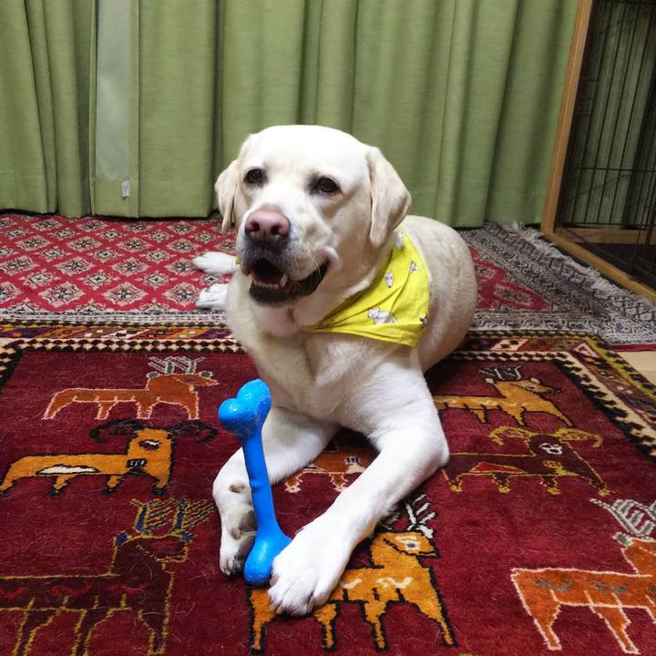 Bcbe68b5 0032 4636 92ae 8f8f73924208 1547299763318